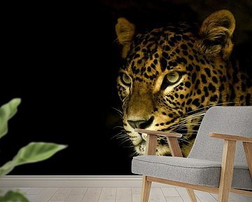 Panther by Rutger Bus