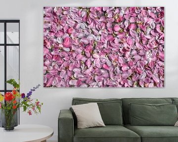 Drijvende roze bloesemblaadjes