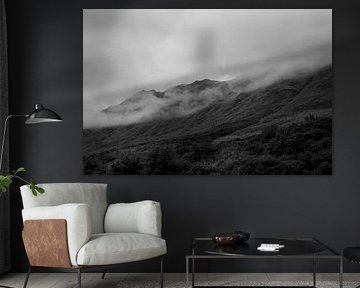 Mist