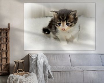 Fluffy III