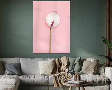 Pastel roze  van Roos Oosterbroek | hand painted prints en fotografie