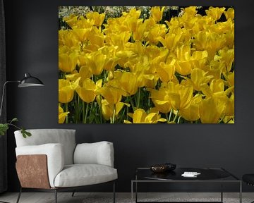 Tulips from Holland by Anouk Davidse