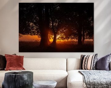Sonnenaufgang hinter Bäumen auf dem Dwingelderveld von Anneke Hooijer