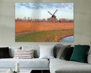 Holland landschapsbeeld met molen