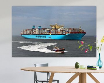 Maersk MC-Kinney Moller von Martin Van der Pluym