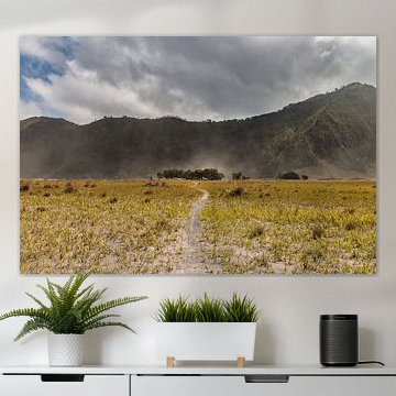 The sand plains of Mount Bromo