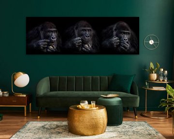 Expressies van een gorilla van Ron Meijer Photo-Art