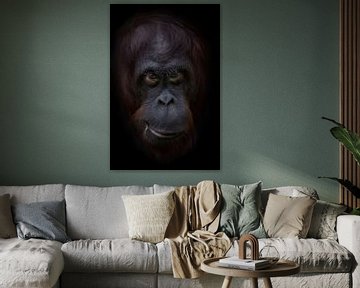 Grappige orang oetan gezicht van Ron Meijer Photo-Art