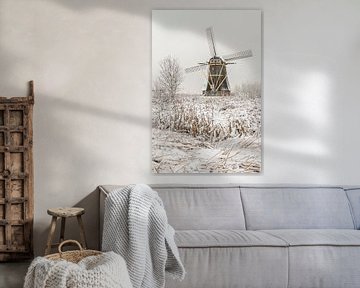 Snow landscape mills world heritage Kinderdijk