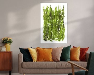 Green plant leaves by ART Eva Maria