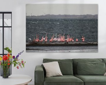 flamingo's  van Marloes van der Beek-Rietveld