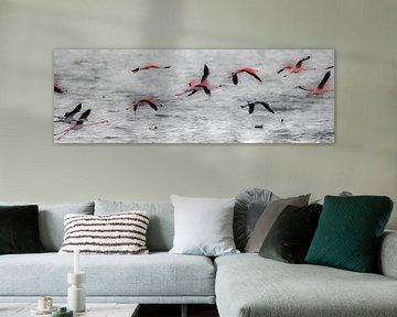 Flamingo's 2  van Marloes van der Beek-Rietveld