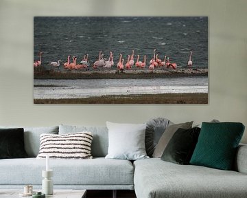 flamingo's 9 van Marloes van der Beek-Rietveld