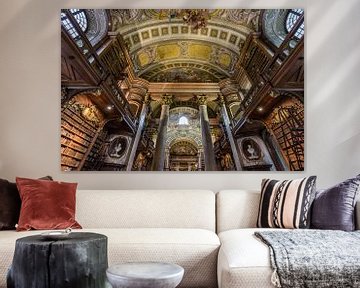 De Nationale bibliotheek van Oostenrijk van Ronne Vinkx