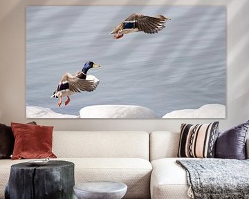 Flying Ducks van Anneke Kroonenberg