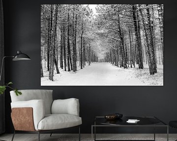 Winter op Terschelling (Longway) van Albert Wester Terschelling Photography