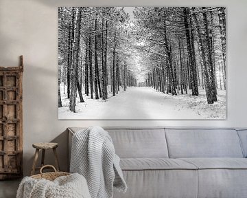 Winter op Terschelling (Longway) van Albert Wester Terschelling Photography