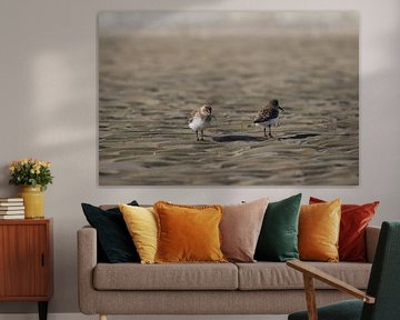 Strandläufer am Strand von Marcel Alsemgeest