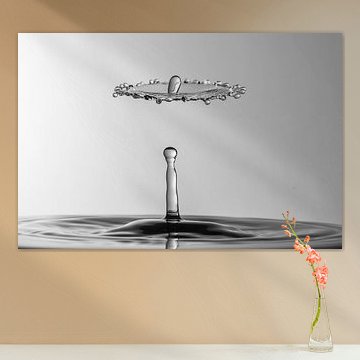 SplashArt Photography