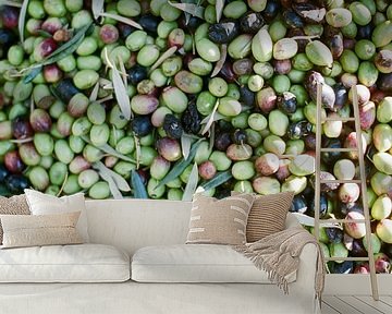 Close up of mixed olives in Ourika | Morocco by Raisa Zwart Travel Photography Prints
