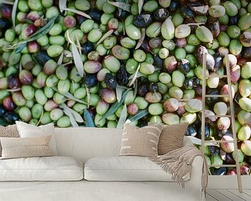 Close up of mixed olives in Ourika | Morocco by Raisa Zwart