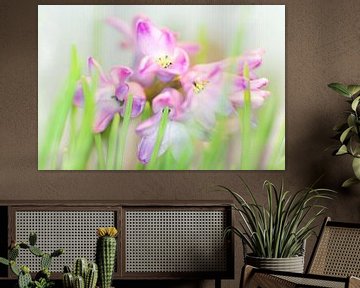 Hyacinth in pastel van Marlies Prieckaerts