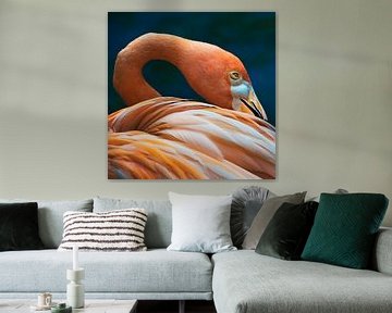 Orange flamingo, oranje vogel van Corrine Ponsen