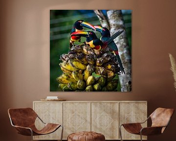 Tropische vogels arassari, tropical birds van Corrine Ponsen