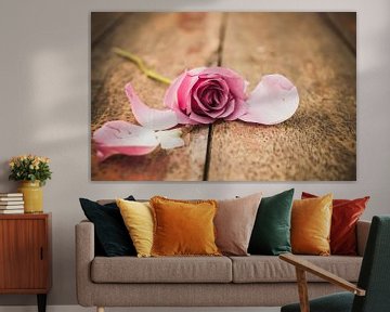 Pink rose by chantal vogelpoel