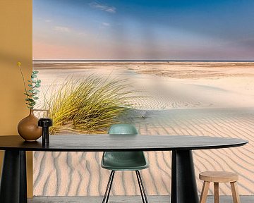 Helmgras bij avondlicht