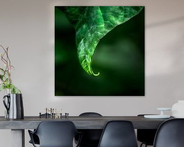 Another variation in green