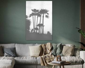 black and white palm trees van Nienke Stegeman