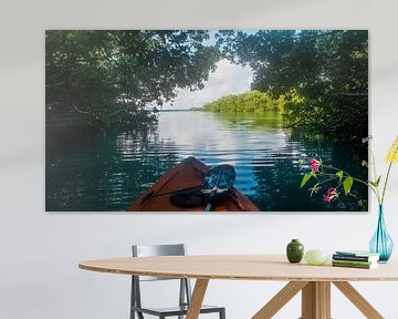 kayak in mangroves van Ivana Luijten