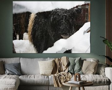 winterse koe van Yannick  van Loon