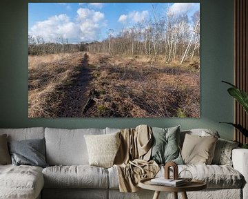 Natuurreservaat het Wooldse veen in Winterswijk