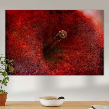 Rode appel in close up