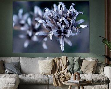 silver blue mood