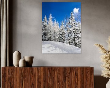 Besneeuwde bomen onder een blauwe hemel van iPics Photography