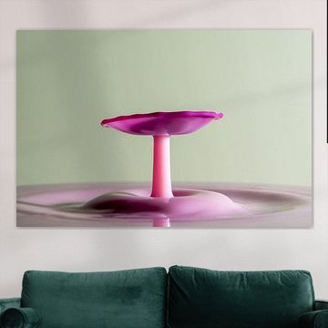 Splash Art Photography