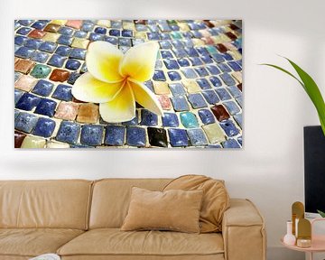 Fleur d'un frangipanier sur une mosaïque de galets colorés (couché) sur Susanne Pieren-Canisius
