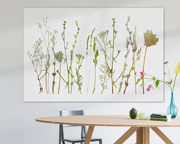 Weide in de ochtend - Modern botanisch in aquarelstijl van Dina Dankers