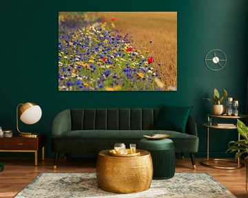 Tarwe akker naast berm met veldbloemen. van Anneke Hooijer