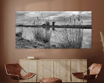 Zwart/Wit Fotografie - Lisserdijk... van Bert v.d. Kraats Fotografie