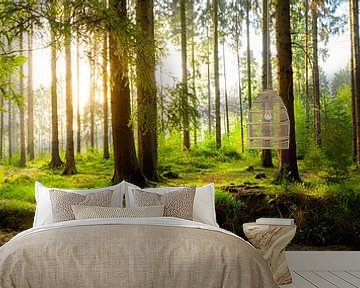 Beautiful forest by Günter Albers