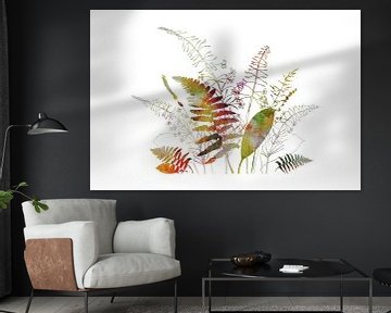 Varens, Wilgenroosjes, Lavendel - botanische illustratie van Dina Dankers