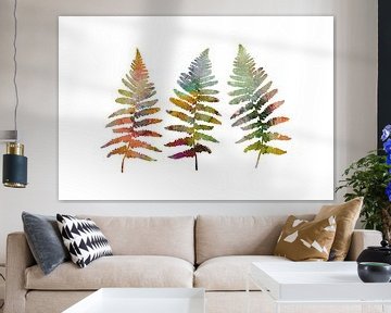 Drie varenbladeren. Botanische illustratie van Dina Dankers