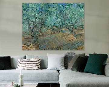 Vincent van Gogh, oliveraie