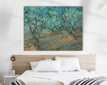 Vincent van Gogh, Olijfgaard