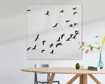 A Flock of Cormorants sur Jörg Hausmann