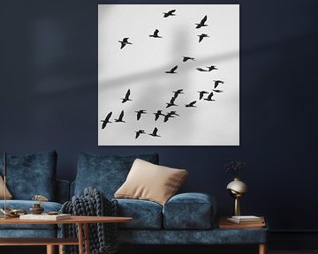 A Flock of Cormorants sur Jörg Hausmann